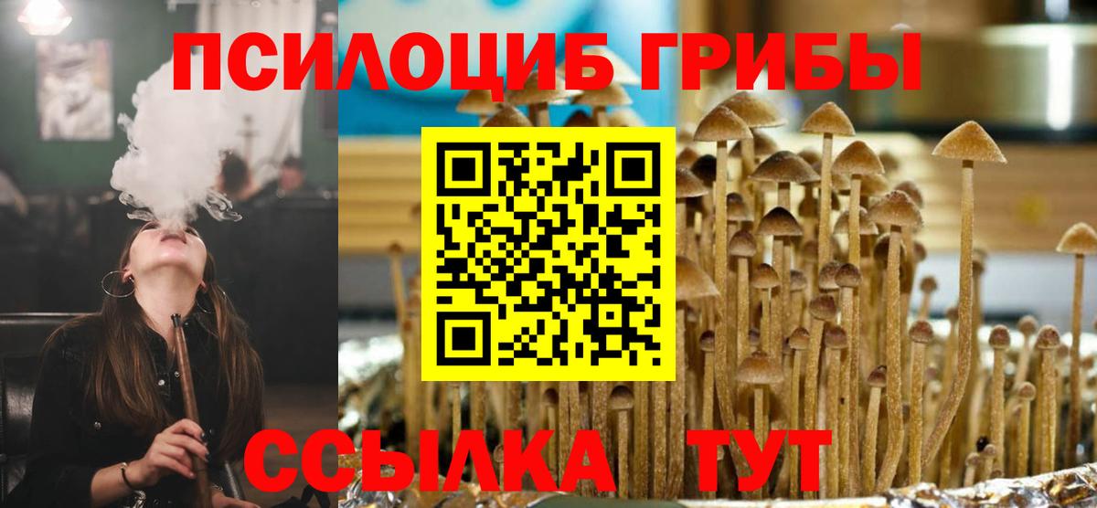 Псилоцибиновые грибы MAGIC MUSHROOMS  Вход с VPN  Ульяновск 
